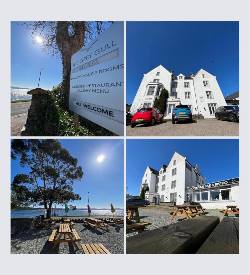 Hotel The Grey Gull